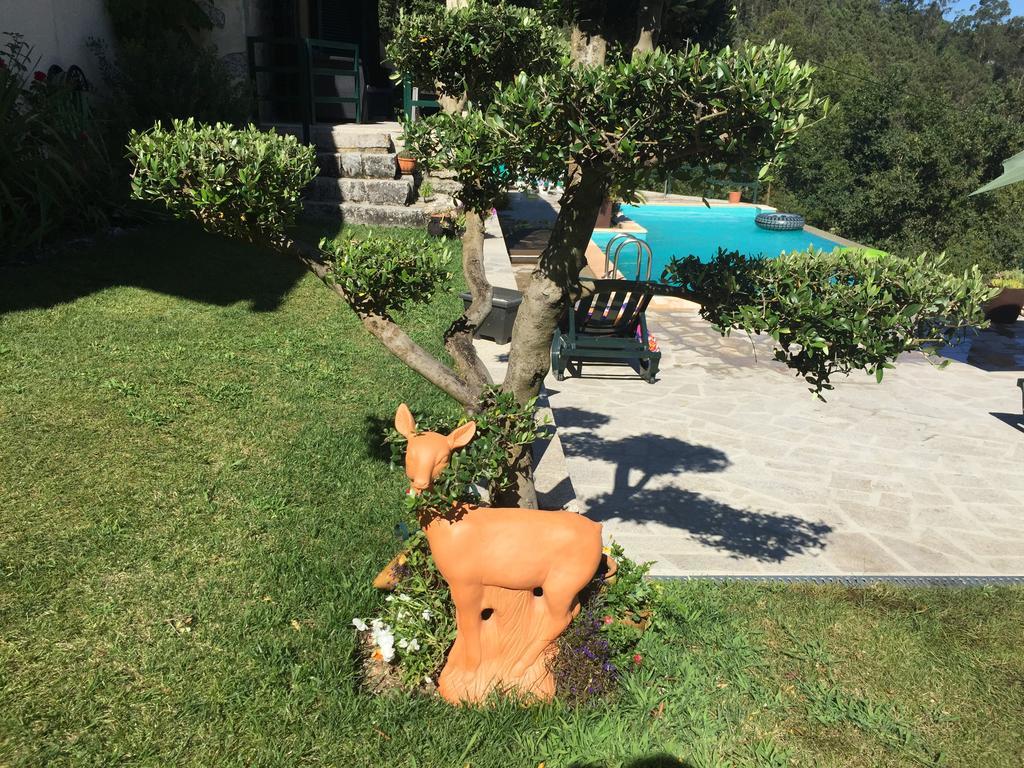 Quinta Paraiso Do Ermal فييرا دو مينهو المظهر الخارجي الصورة